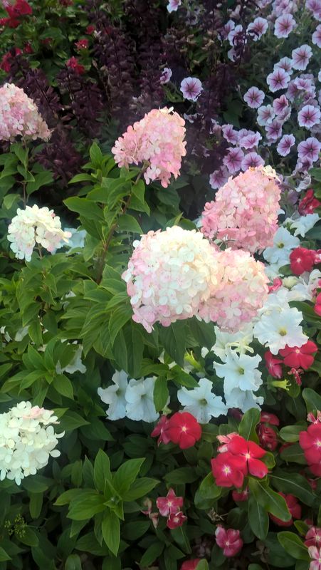 WP_20180827_20_08_16_Pro.jpg