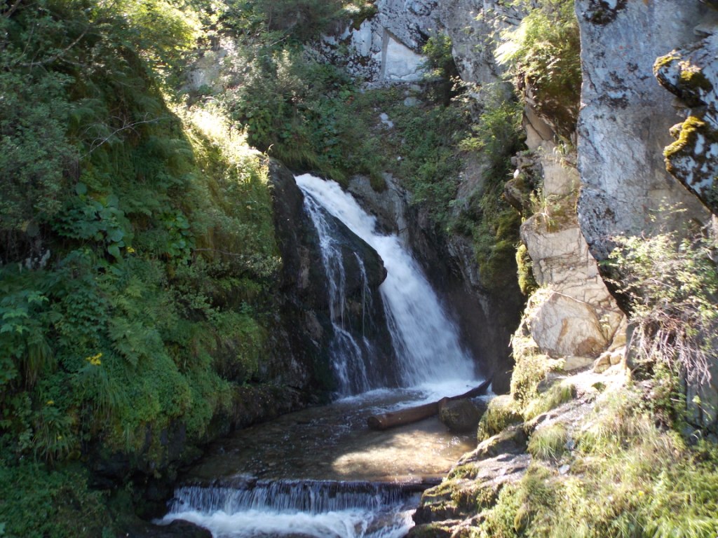 DSCN5782.JPG
