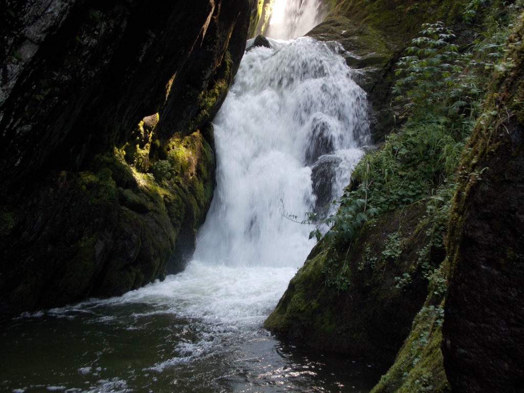 DSCN5772.JPG