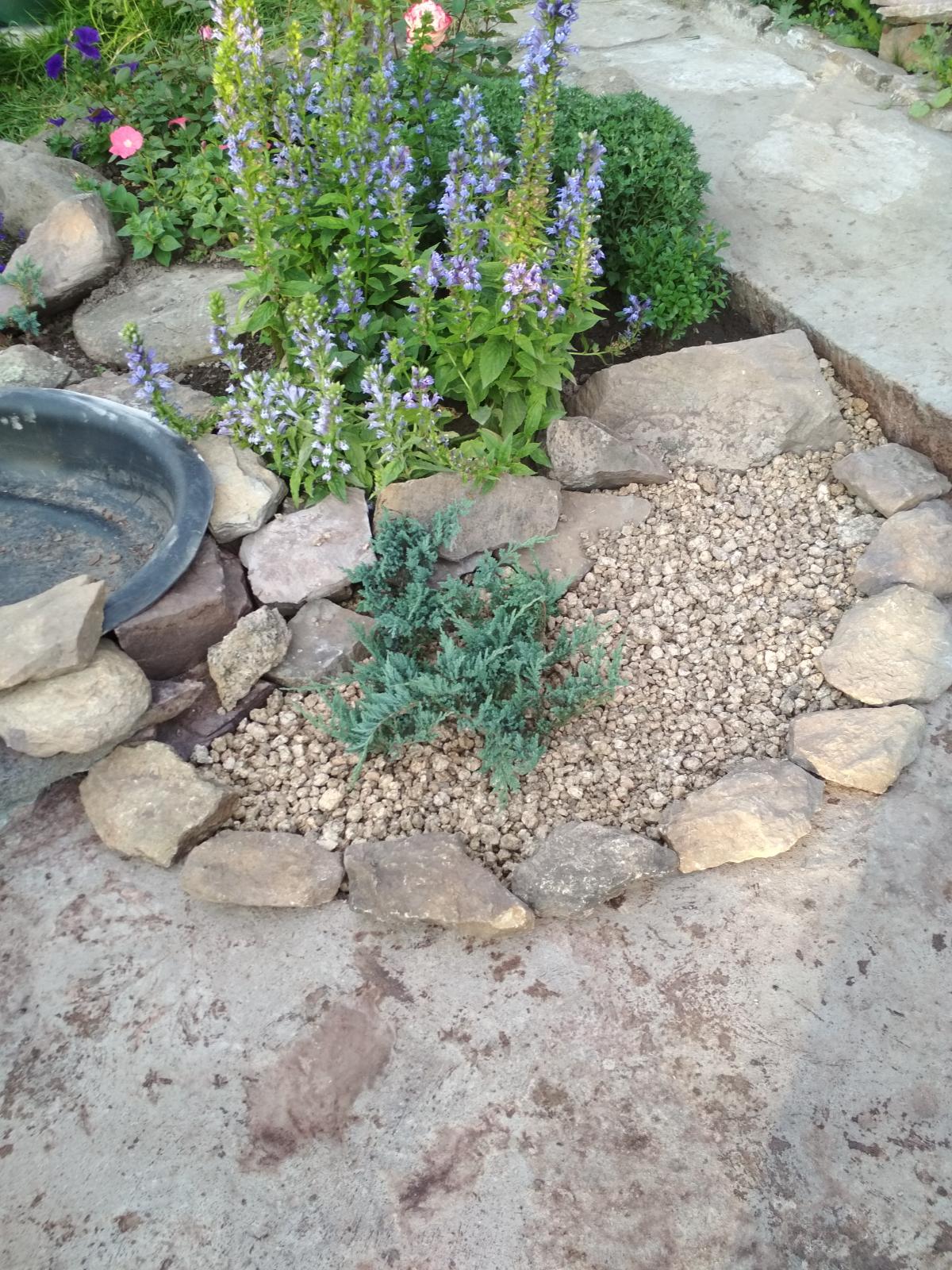 IMG_20200830_1859411.jpg