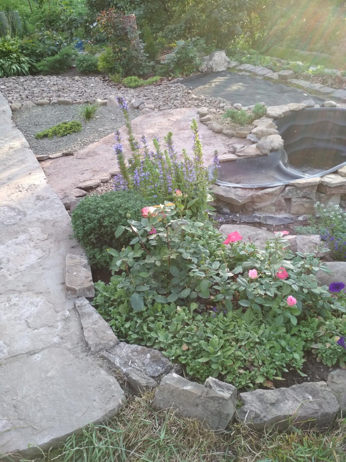 IMG_20200830_1859101.jpg