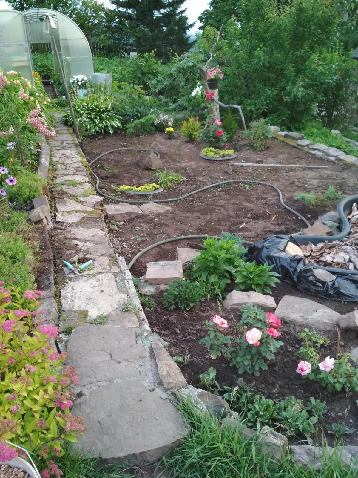 IMG_20200706_2106541.jpg