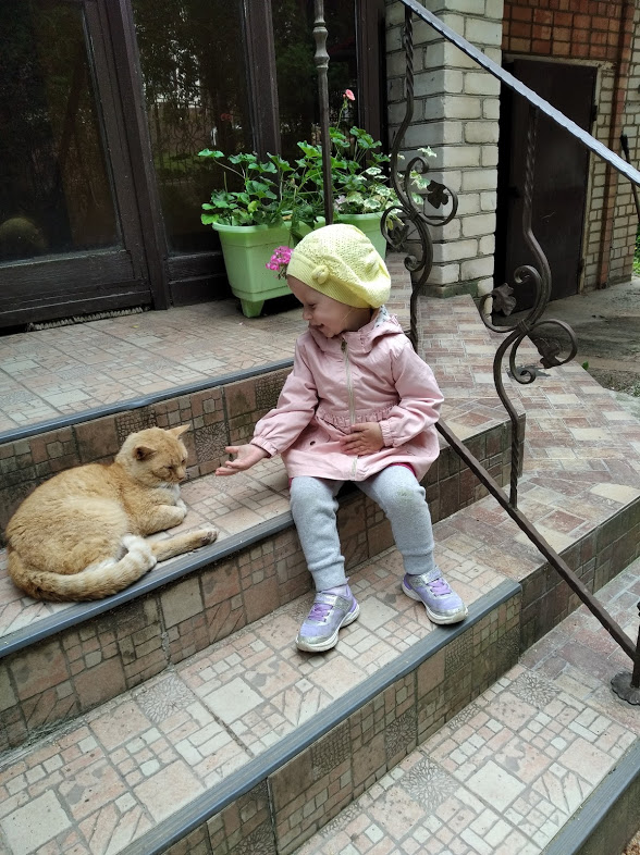 кошка.jpg