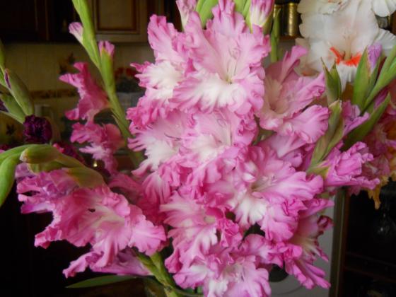 DSCN2989.JPG