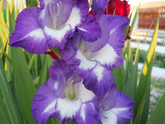 DSCN2519.JPG