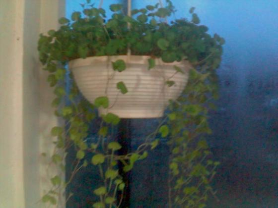 081128_073842.jpg