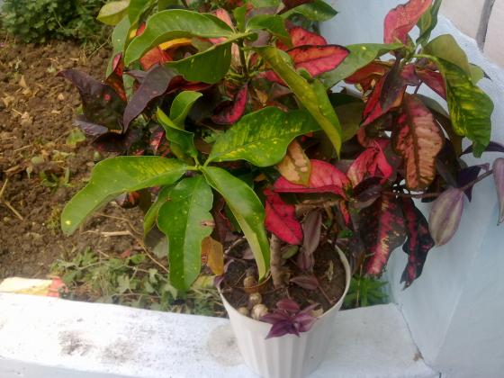 27092012458.jpg