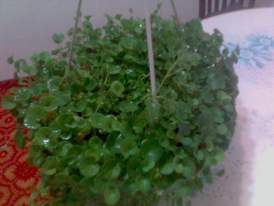 081128_073736.jpg