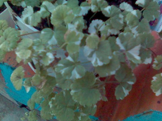 090619_080915.jpg