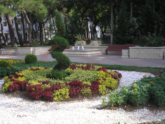 P1010055.JPG