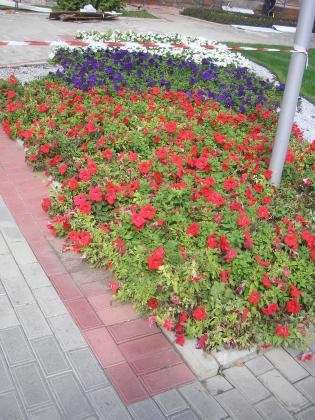 P1010015.JPG