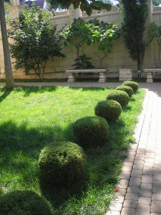 P1010093.JPG