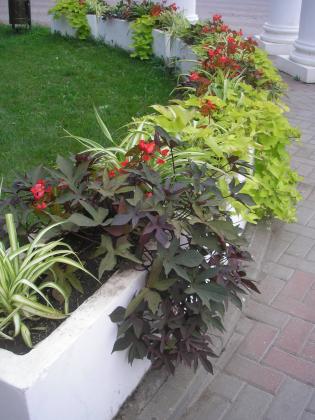 P1010046.JPG