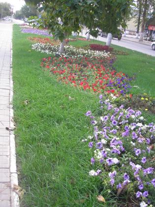 P1010013.JPG