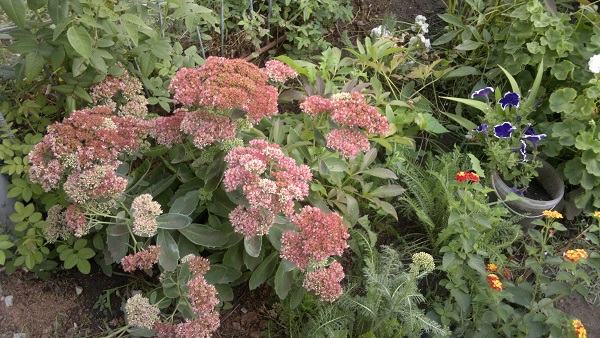 2013-09-08-1401.jpg
