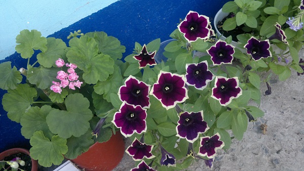 2013-09-08-1364.jpg
