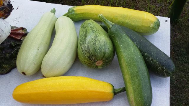 20150805_115029.jpg