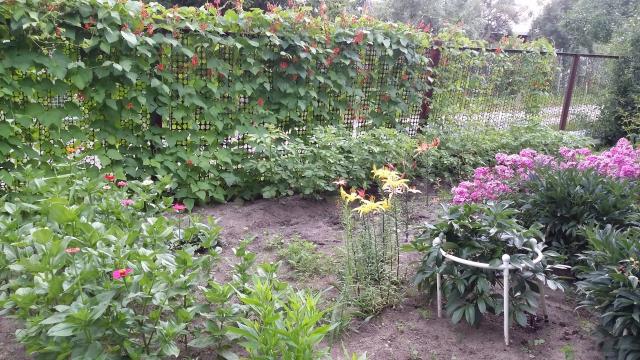 20150715_152029.jpg