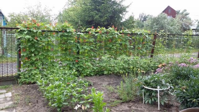 20150707_120246.jpg