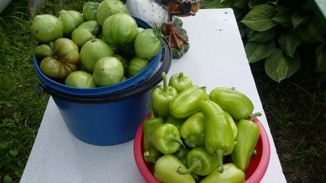 20150718_143318.jpg