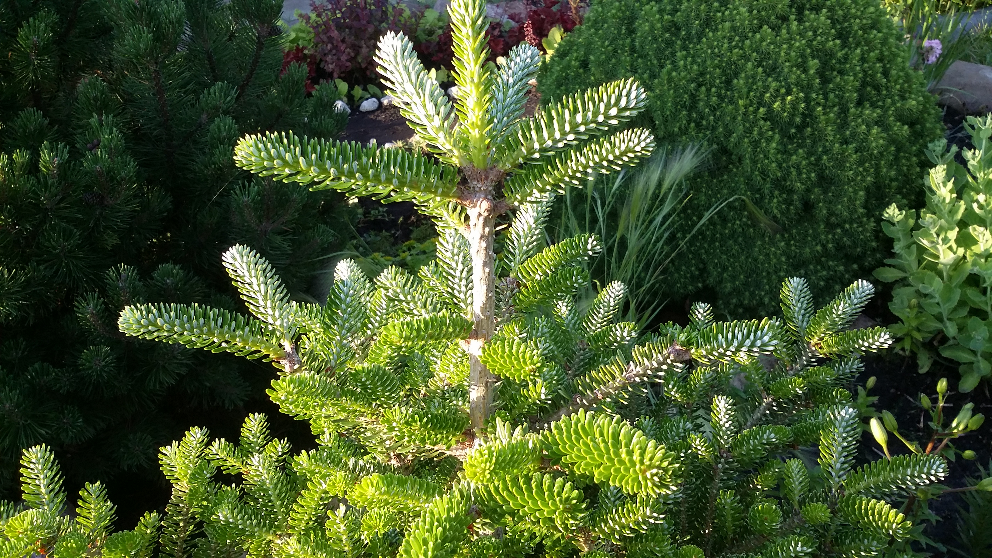 20170715_193159.jpg