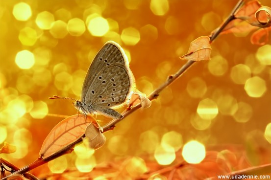 Autumn-Day-553x368.jpg