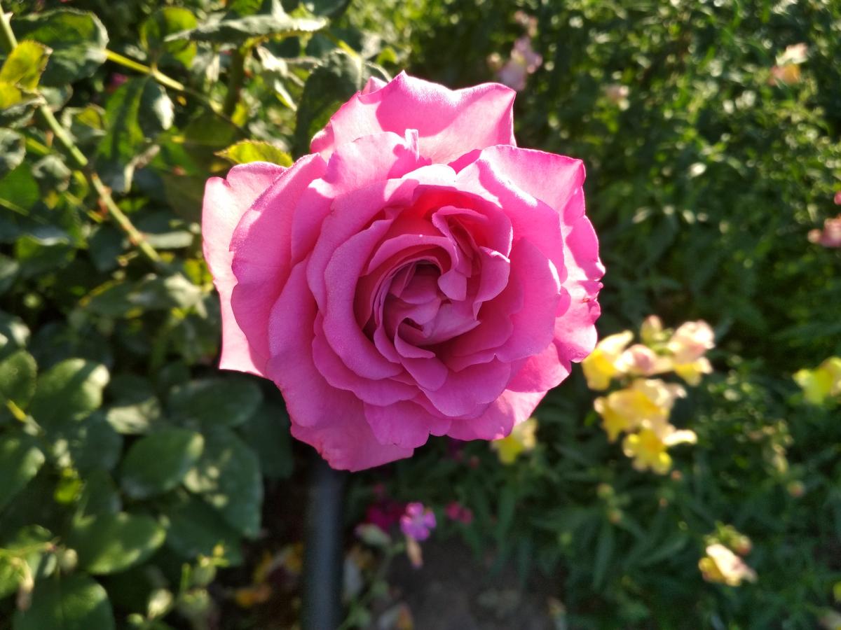 IMG_20220828_0834161.jpg