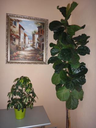 DSC03165.JPG