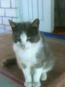 IMG0217A.jpg