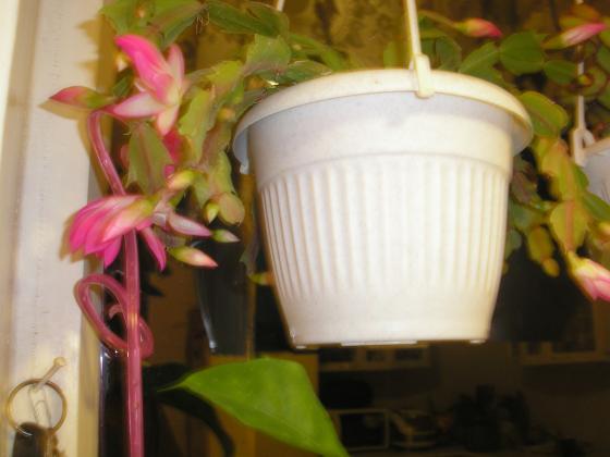 P1010047.JPG