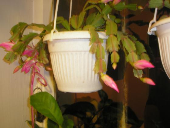 P1010050.JPG
