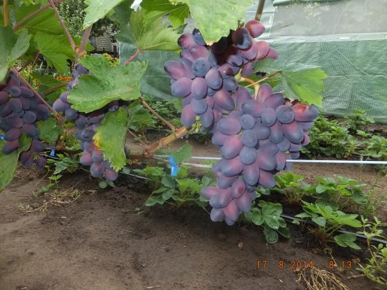 DSCF2258.JPG