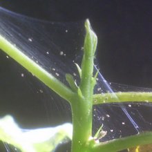 s2010070103.jpg