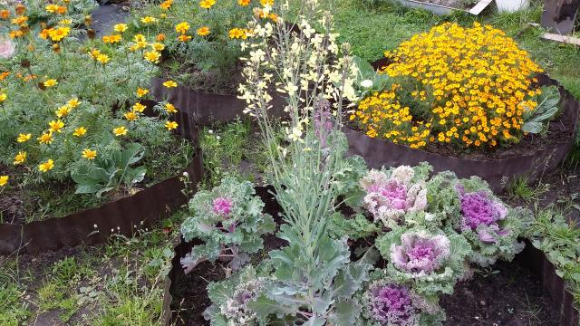 20150930_115835.jpg
