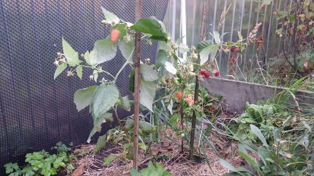20151002_105043.jpg