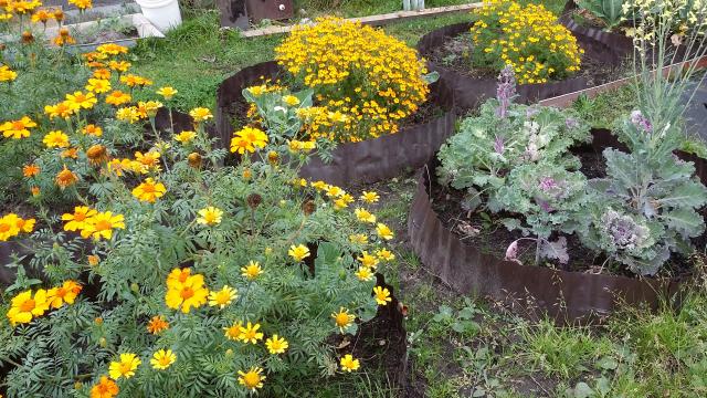 20150930_115808.jpg