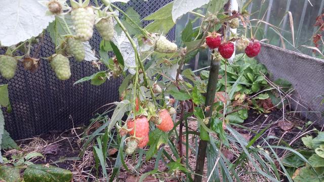 20151002_104659.jpg