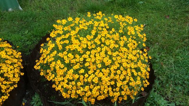 20151002_104149.jpg