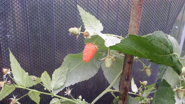 20151002_104732.jpg