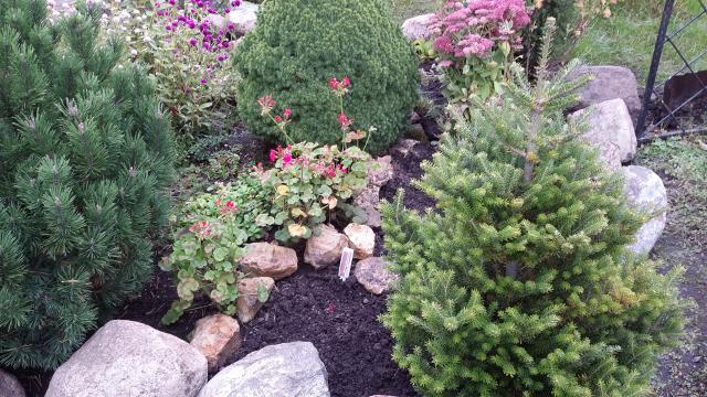 20160927_163059.jpg