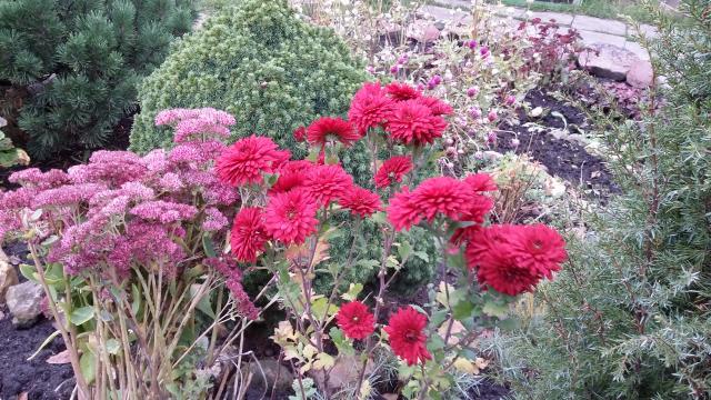 20161012_154428.jpg