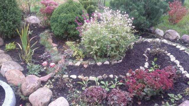 20160930_094501.jpg