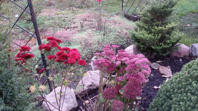 20161012_154725.jpg