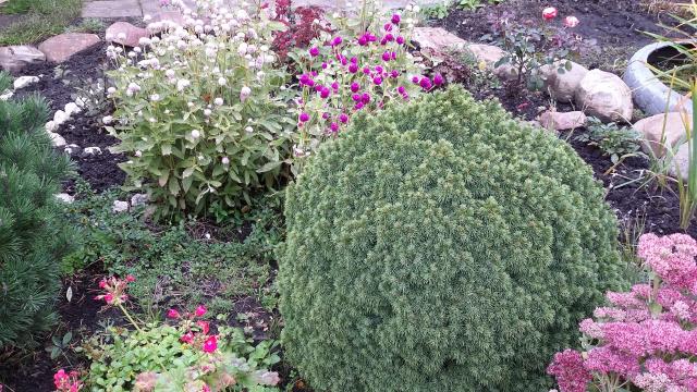 20160927_163025.jpg