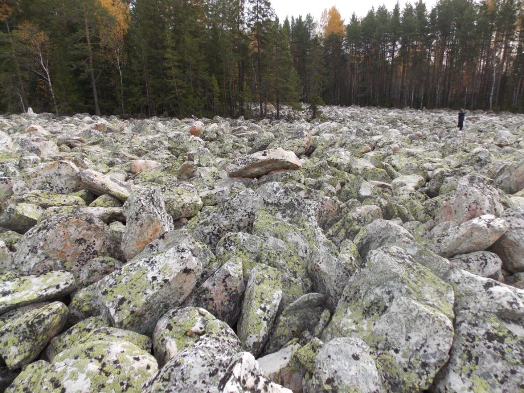 DSCN3722.JPG