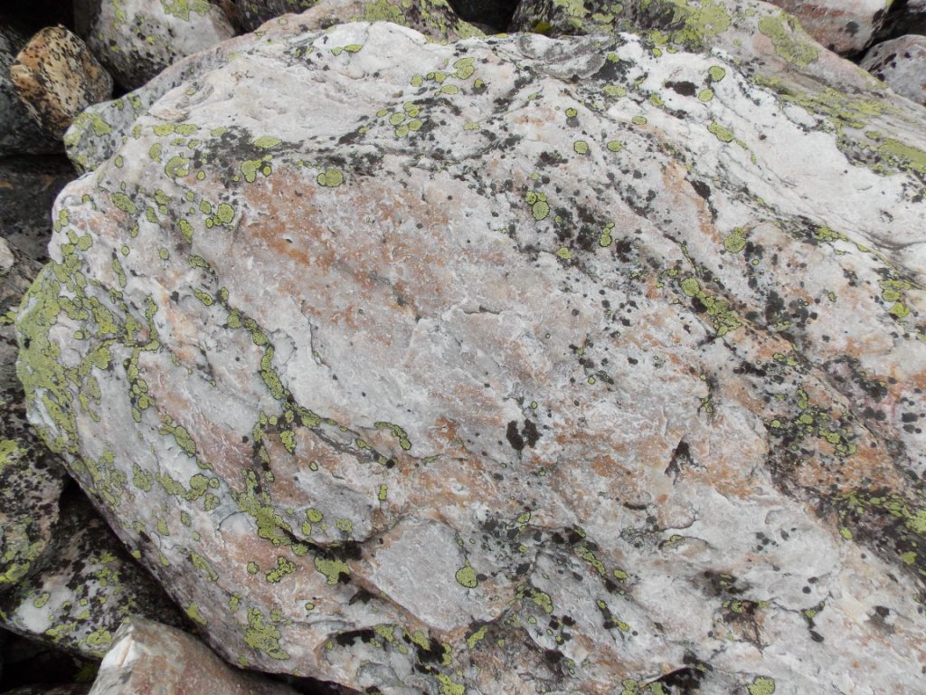 DSCN3705.JPG