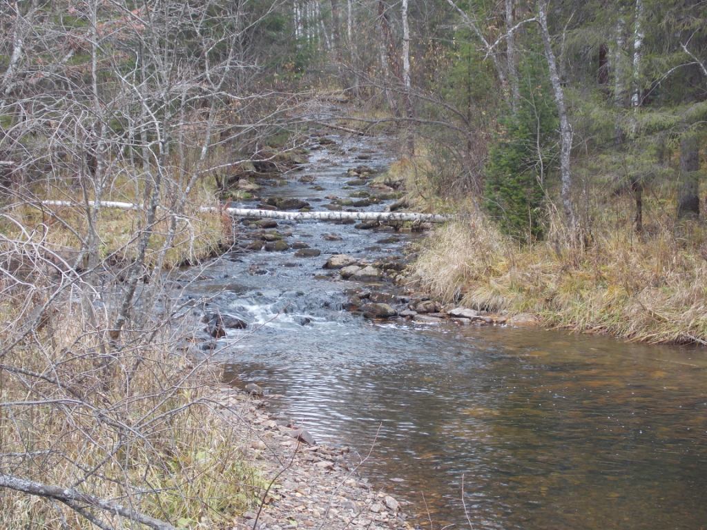 DSCN3653.JPG