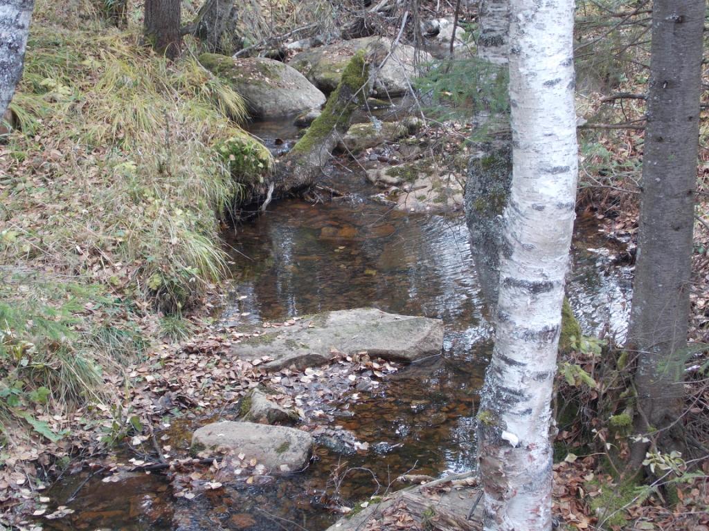 DSCN3666.JPG
