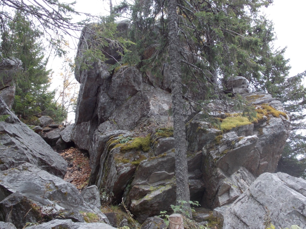 DSCN3808.JPG