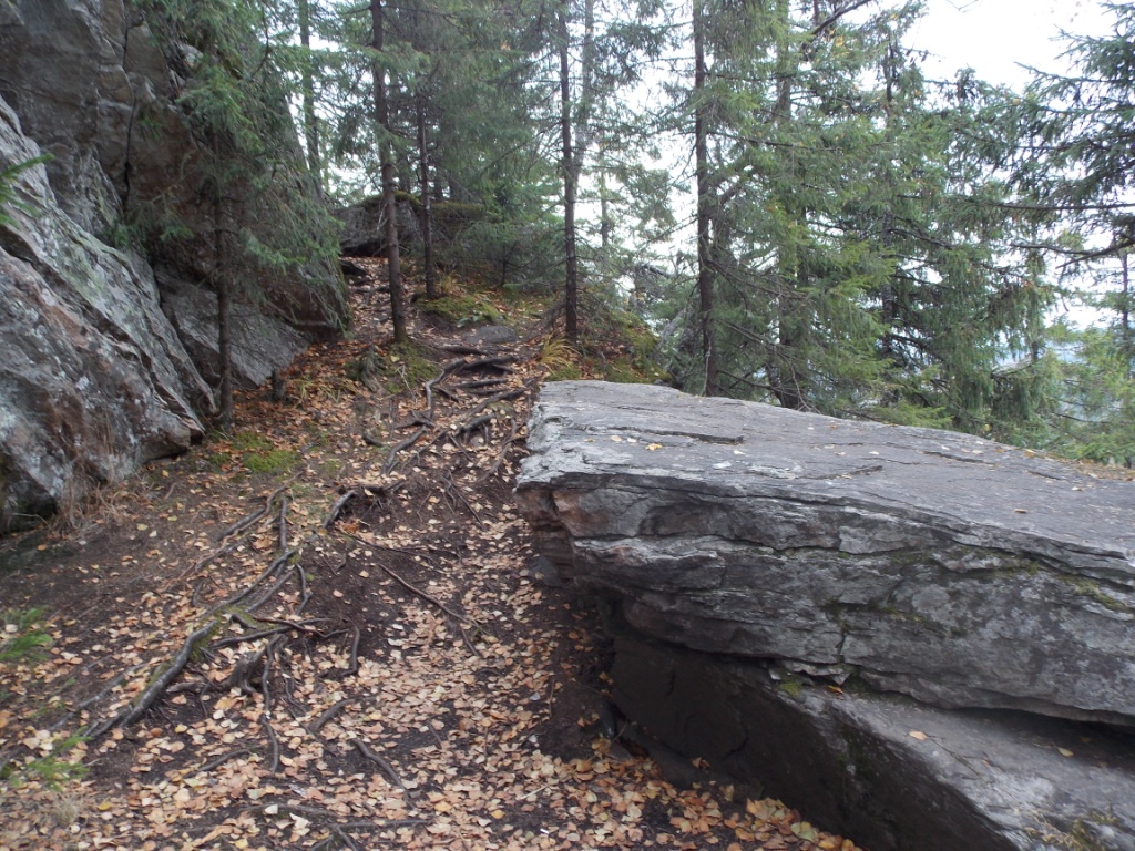 DSCN3817.JPG